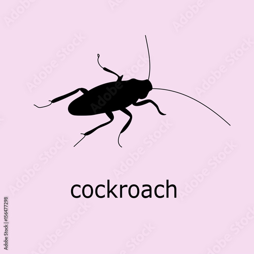 Cockroach isolated vector icon black silhouette on pink background.