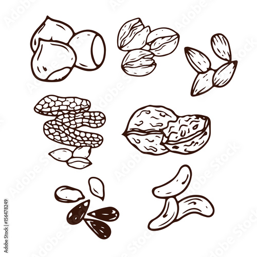 Set of hand-drawn nuts isolated.  Organic farm illustration. Healthy lifestyle vector design elements. Nut icons.