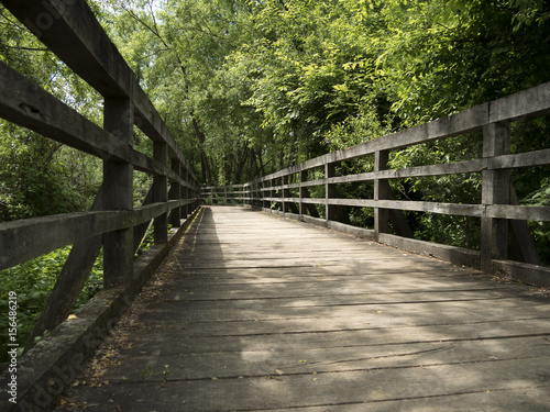 wooden path by the lake