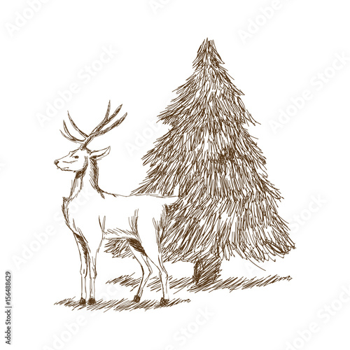 christmas deer and tree engraving style, vintage hand drawn vector illustration