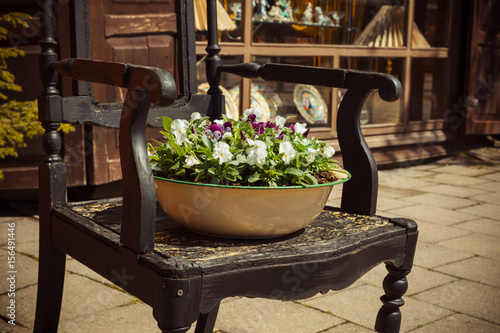 Plakat w ramie Flowers on an ancient chair. Palanga. Lithuania