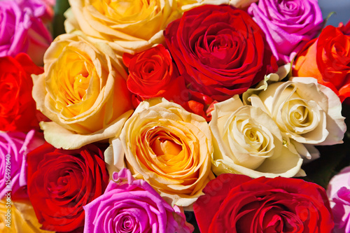 Multicolored roses background