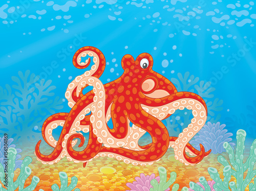 red spotted octopus on a seabed with corals