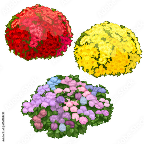 Yellow, pink and red flower beds isolated