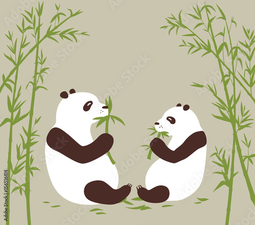 Fototapeta Naklejka Na Ścianę i Meble -  Two pandas eat bamboo in the bambоо forest