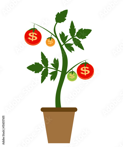 Colored Money Tree, Dependence of Financial Growth Flat Concept.