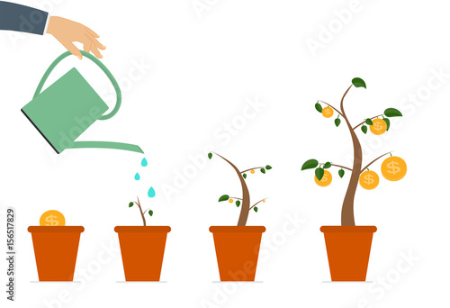 Colored Money Tree, Dependence of Financial Growth Flat Concept.