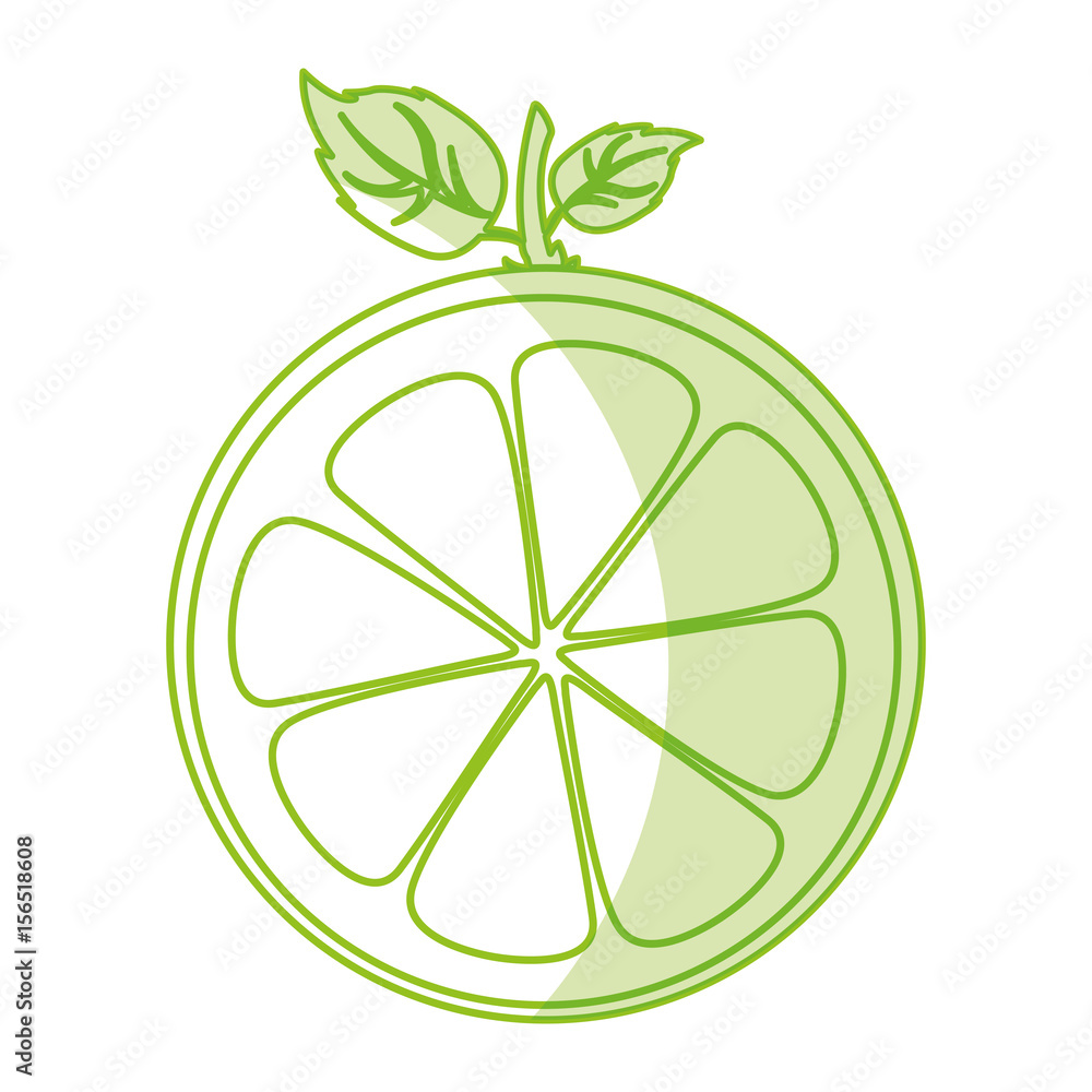 half citrus fruit icon vector illustration design half citrus fruit icon vector illustration design