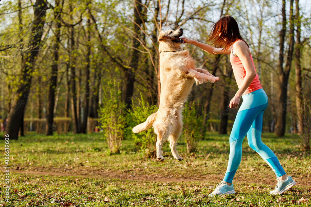 Fototapeta premium Woman playing with stick ,dog,