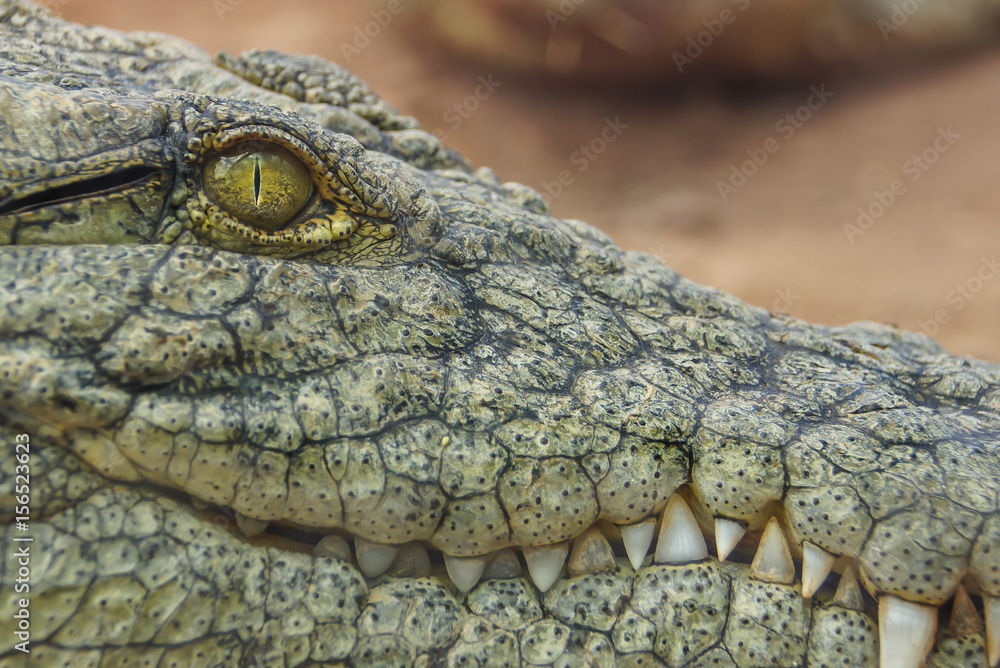 Fototapeta premium Im Auge