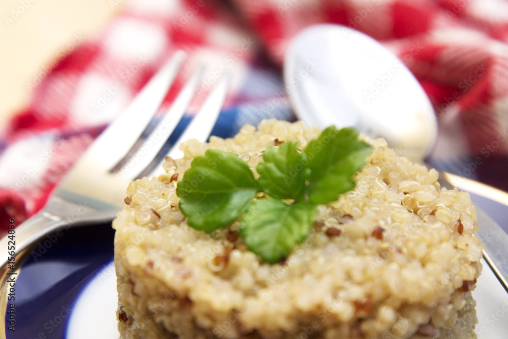 dish of quinoa cooked with pictures tablecloth dish of quinoa cooked with pictures tablecloth