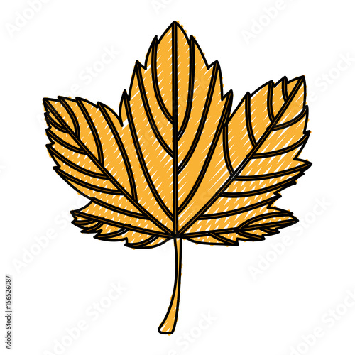leaf plant seasonal icon vector illustration design