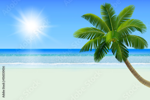 Empty white tropical beach with a palm  a coconut tree . Realistic vector illustration