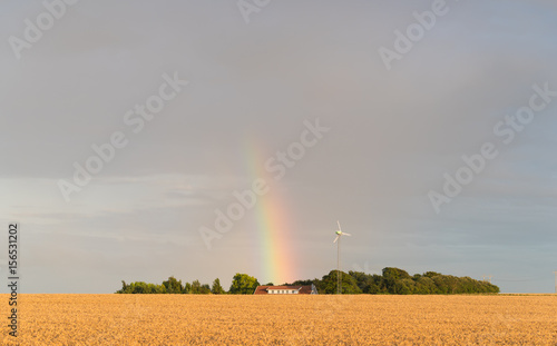 rainbow over wheat field