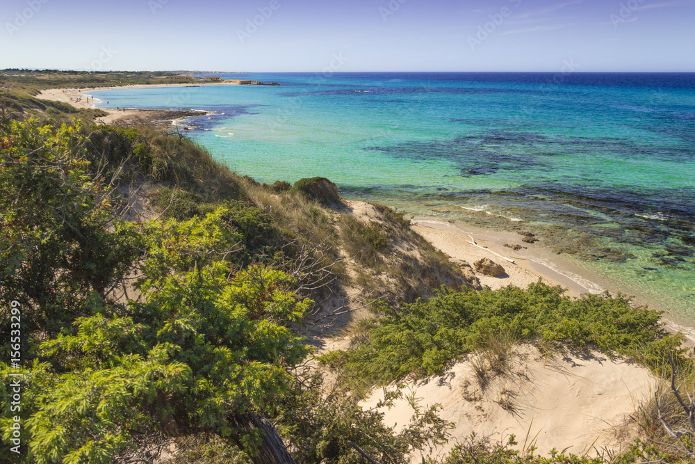 Summer beach.Torre Guaceto Nature Reserve: panoramic view of the coast from the dunes.Italy (Apulia). Mediterranean maquis: a nature sanctuary between the land and the sea.