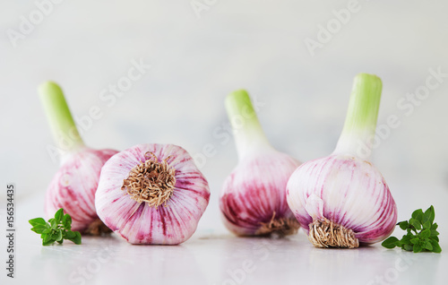 Purple garlic with herbs. Bulbs of garlic on a white wooden surface.