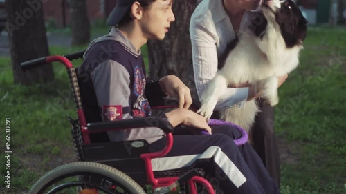A disabled person plays with a dog, canitis therapy, disability treatment through training with a dog, Man in a wheelchair