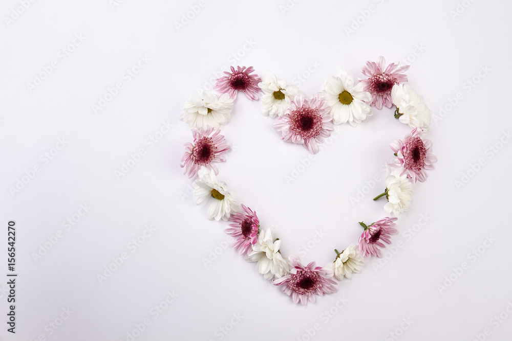 Gentle heart of chrysanthemums on a white background.