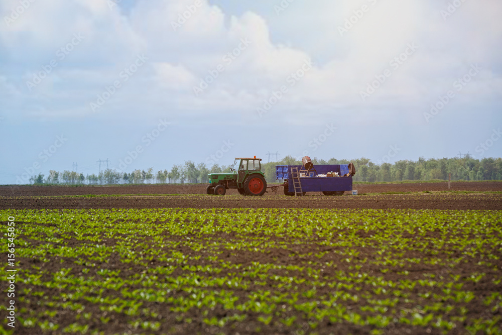 Agricultural machinery - tractor in field. Agricultural machinery - tractor in field.