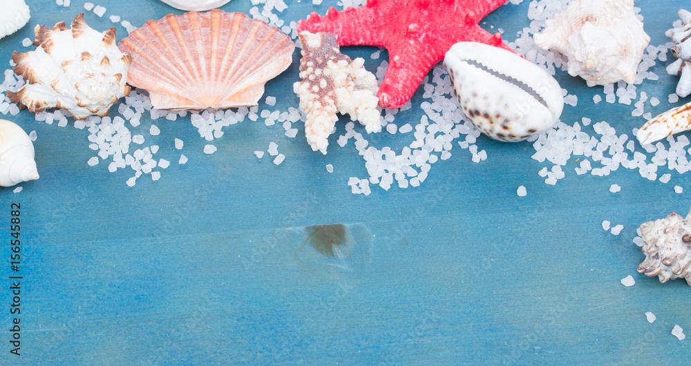 border os sea star and shells on blue table banner border os sea star and shells on blue table banner