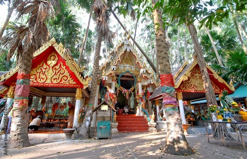 Big tree covered by powder and tied with multicolor fabrics (Faith of thai people) at Wat Pa Kham Chanod, Buddhist Temple in Udon Thani, Thailand photo