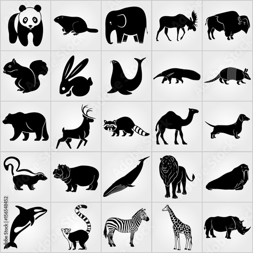 Twenty-five Mammalian Animals icon set