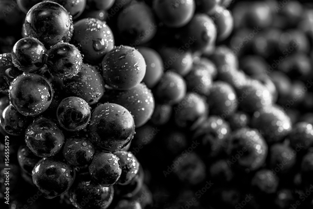 Close-up, berries of dark bunch of grape in low light isolated on black background Close-up, berries of dark bunch of grape in low light isolated on black background