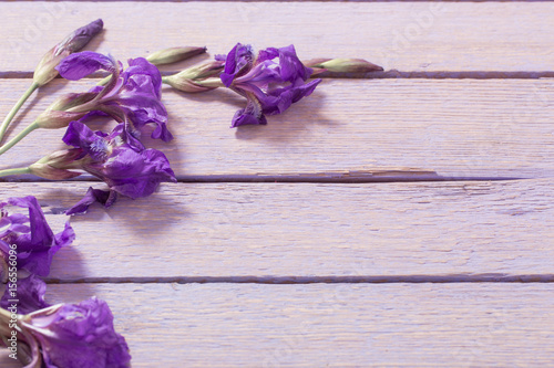 Fototapeta Naklejka Na Ścianę i Meble -  spring flowers on wooden background