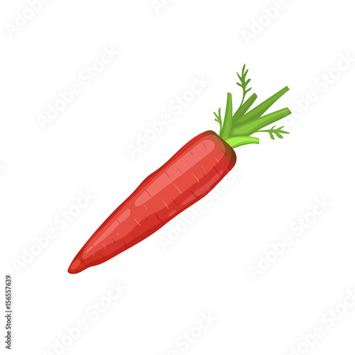 Fresh red carrot icon isolated on white background.