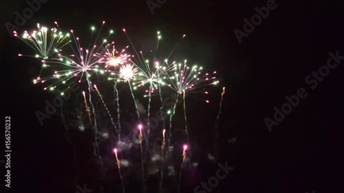 firework feu d'artifice nuit fête
