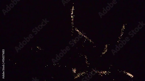 firework feu d'artifice nuit fête