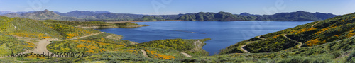 Lots of wild flower blossom at Diamond Valley Lake