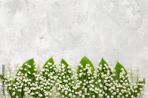 Lilies of the valley on a concrete texture, lying in a row