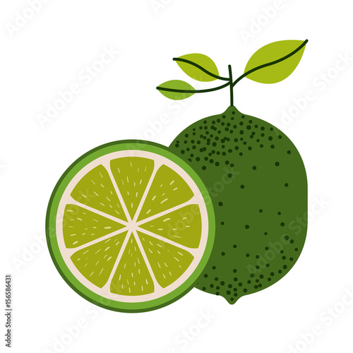 white background with one lemon fruit and lemon slice and without contour vector illustration