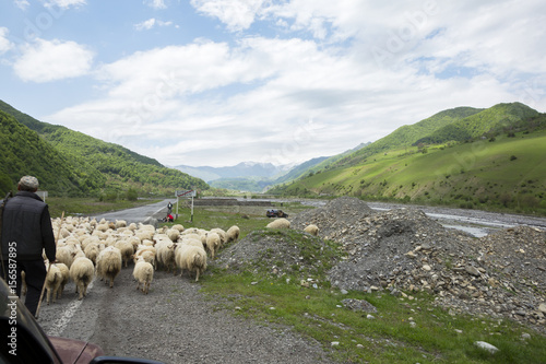 Mountains of Republic of Georgia  photo