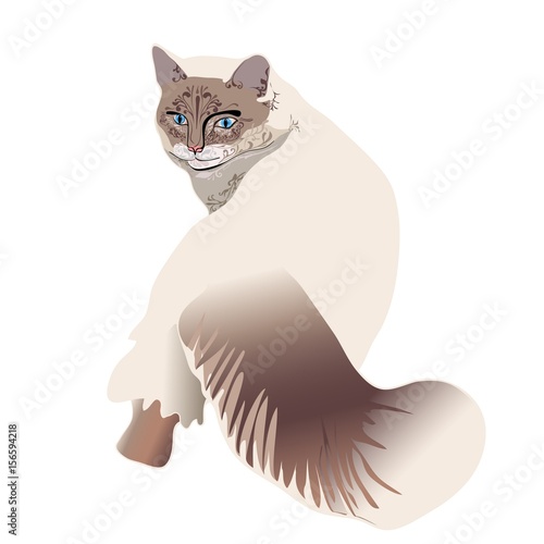кошка