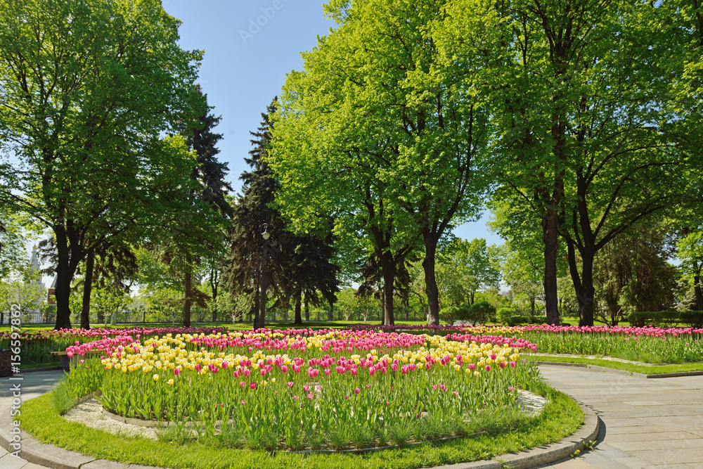 Tulips in Tainitski garden of Moscow Kremlin. Russia Tulips in Tainitski garden of Moscow Kremlin. Russia