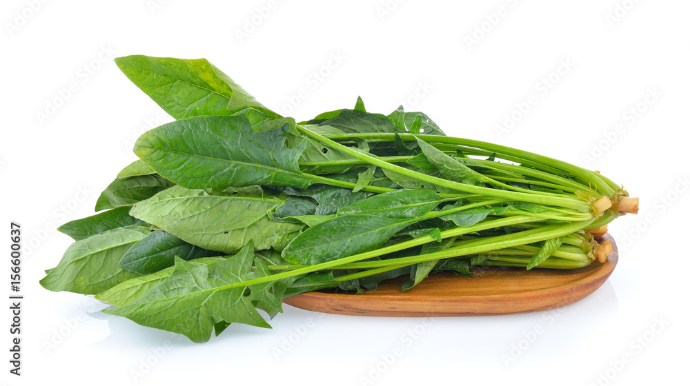 Spinach leaves isolated on white background Spinach leaves isolated on white background