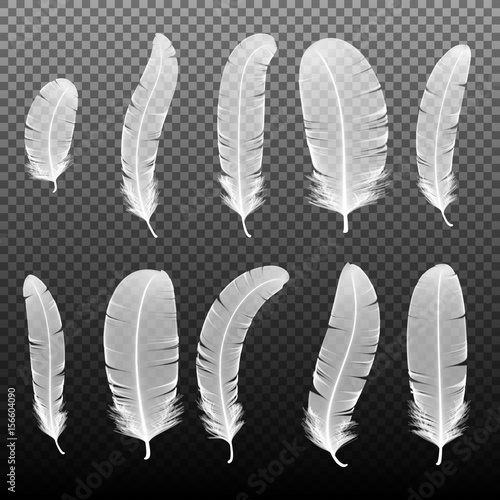 Set of various white bird feathers on a black background. Collection 3d realistic style soft fluffy macro swan vector illustration. Pen for handwriting