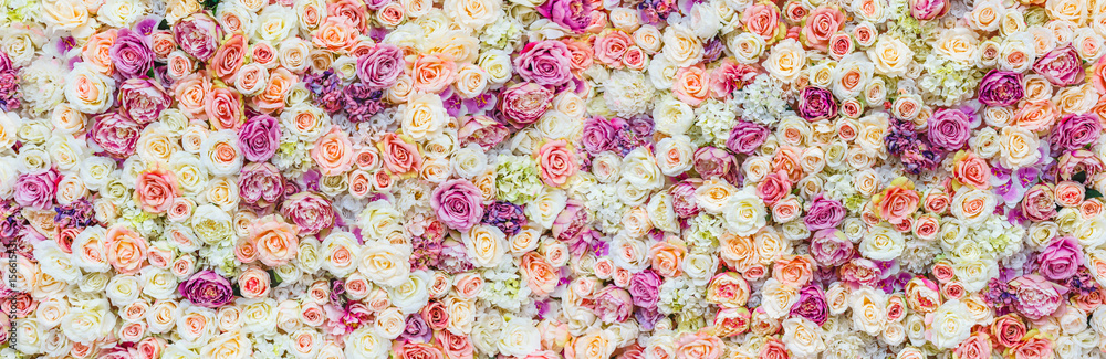Fototapeta premium Tło ściany kwiaty z niesamowitymi czerwonymi i białymi różami, dekoracja ślubna, ręcznie robione
