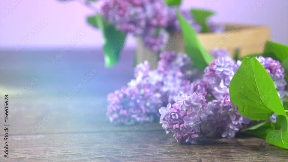 Lilac spring flowers bunch over wooden background. 3840X2160 4K UHD video. Slow motion 240 fps Lilac spring flowers bunch over wooden background. 3840X2160 4K UHD video. Slow motion 240 fps