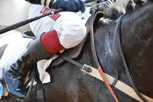 Fototapeta Naklejka Na Ścianę i Meble -  cheval de courses