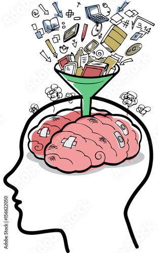 Filling a brain with funnel vector