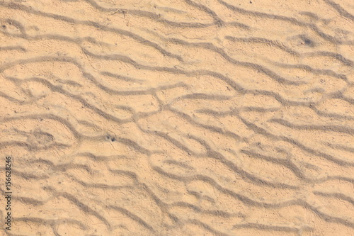 sand texture of sandy beach