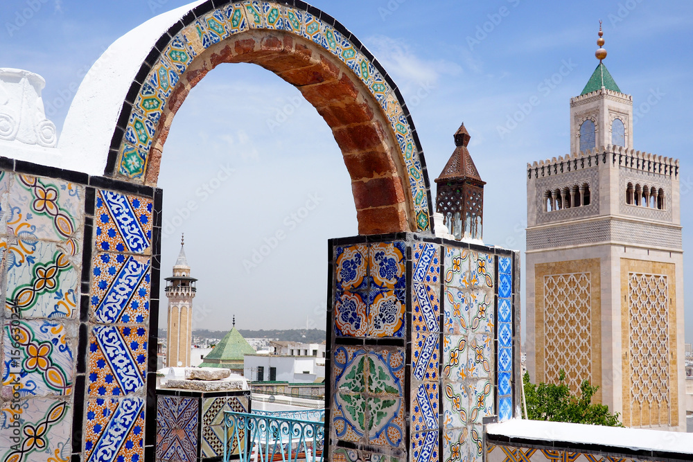 Obraz premium view over tunis and median to the mosque