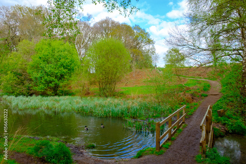 Wooden Bridge at Ravine Pond With Lush Vegetation In Spring, Wimbledon Common, England, Uk