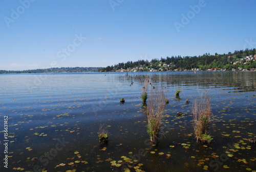 picturesque lake photo