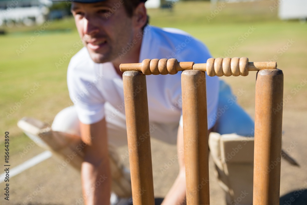 Obraz premium Close up of wicket keeper crouching by stumps