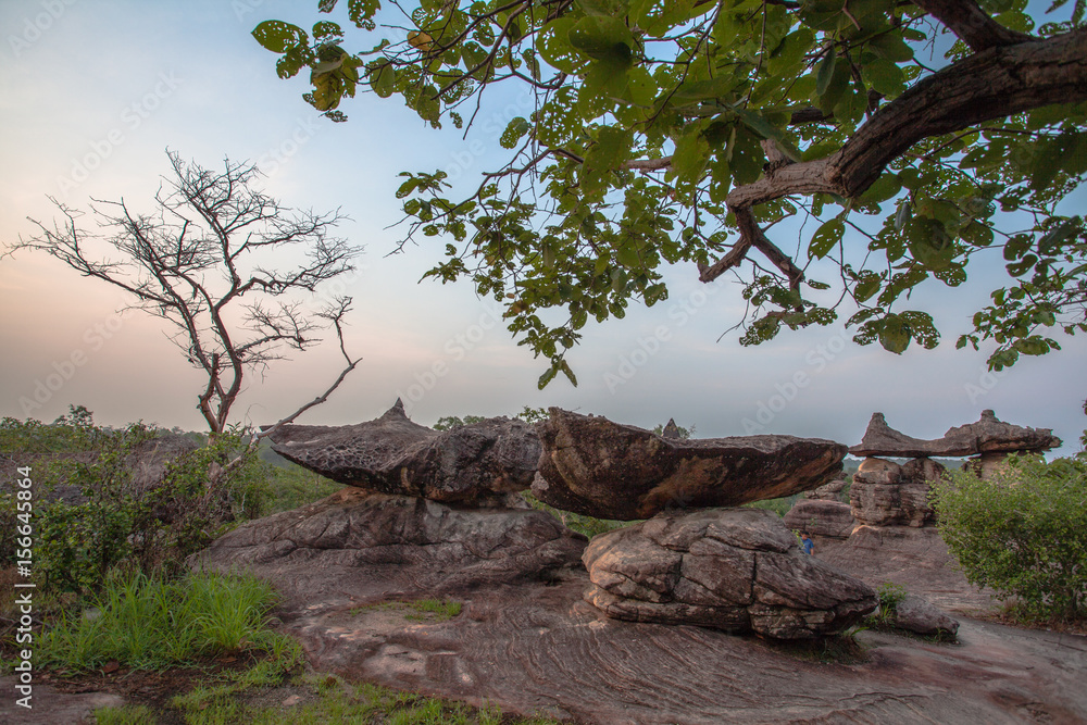 amazing natural stone sculpture