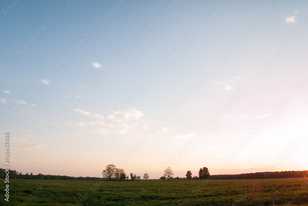 green grass against a blue sky, green grass against a blue sky,